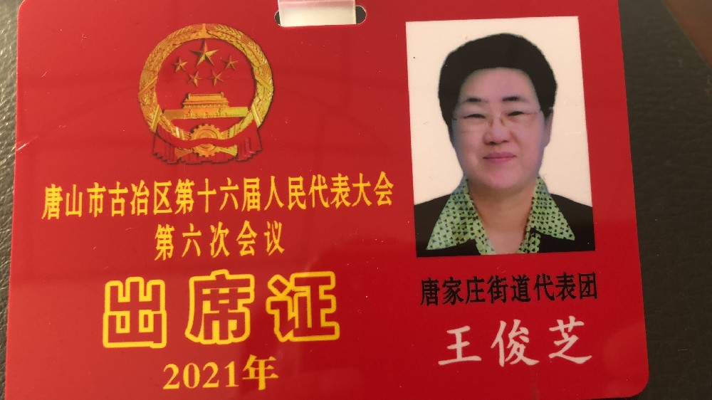 人大會(huì)議出席證