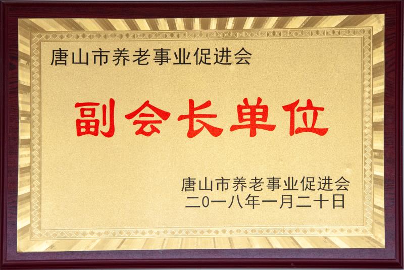 養(yǎng)老促進會副會長單位