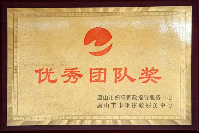 優(yōu)秀團隊獎